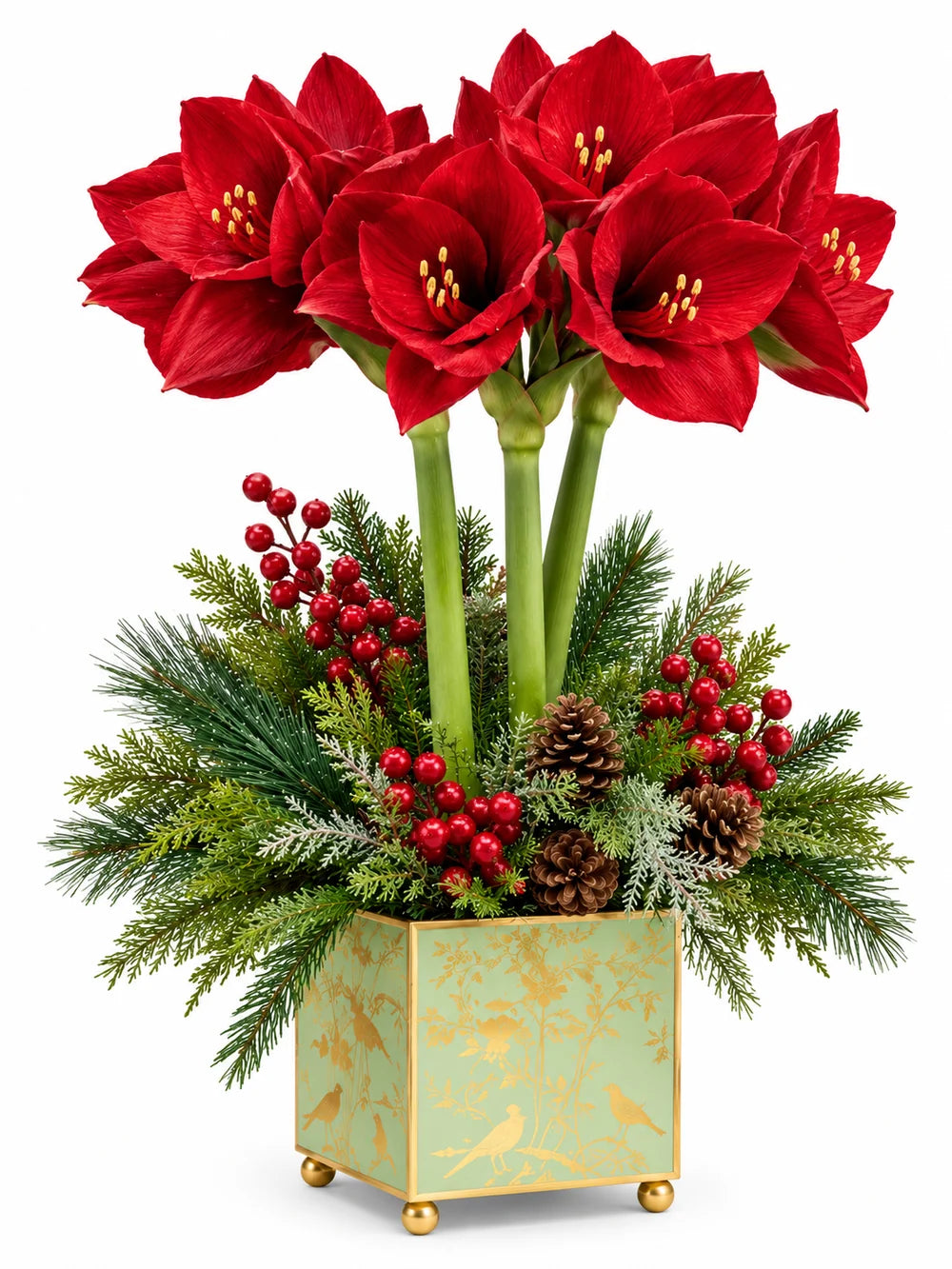 Red Amaryllis & Winter Greens in Chinoiserie Planter