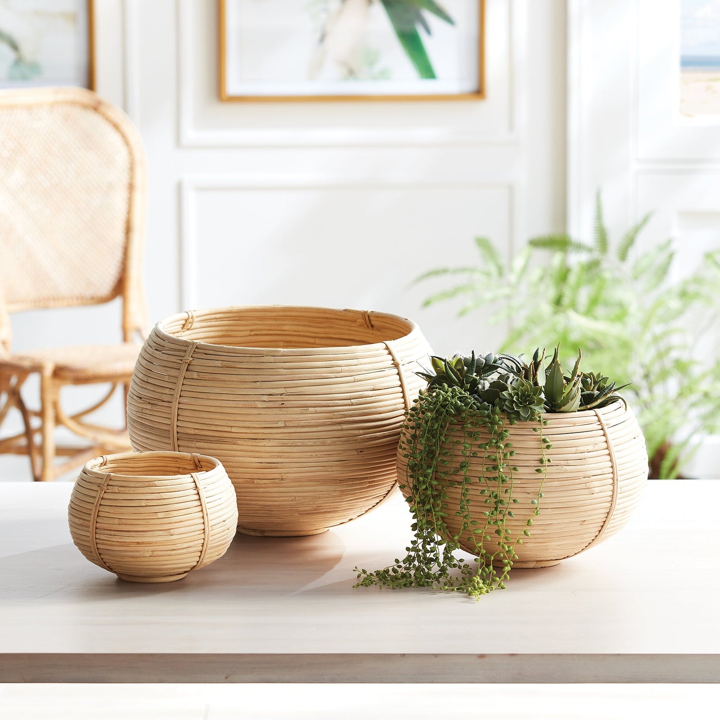 Cane Rattan Plant Baskets, Set of 3