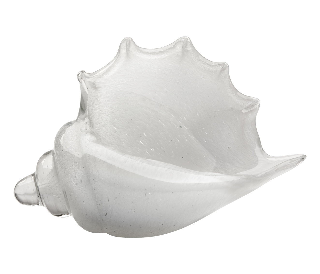 Triton Shell-White