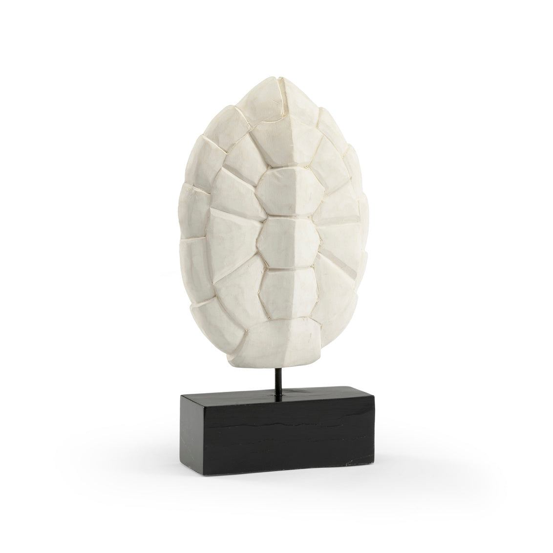 Turtle Shell