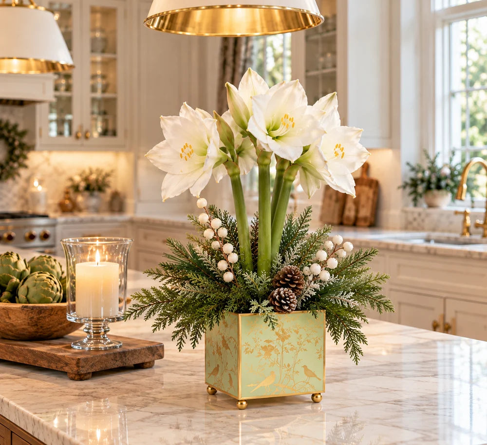 White Amaryllis & Winter Greens in Chinoiserie Planter