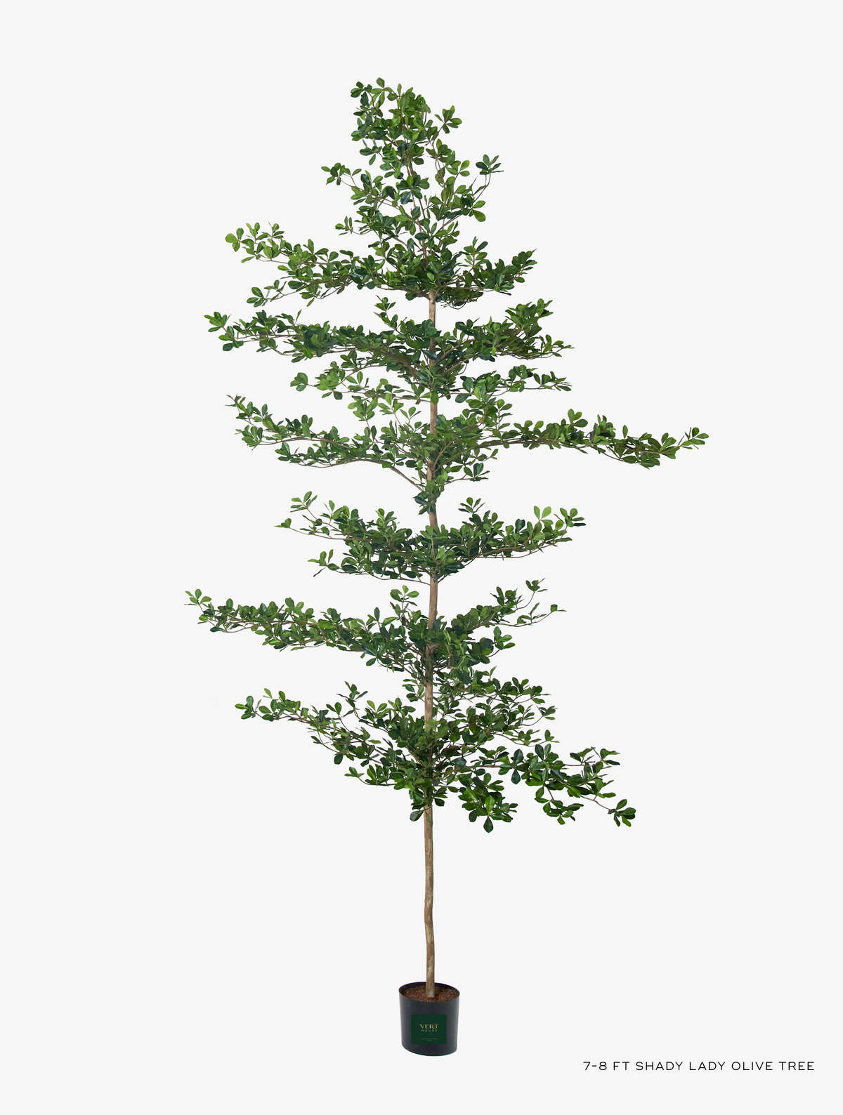 Shady Lady Faux Olive Tree